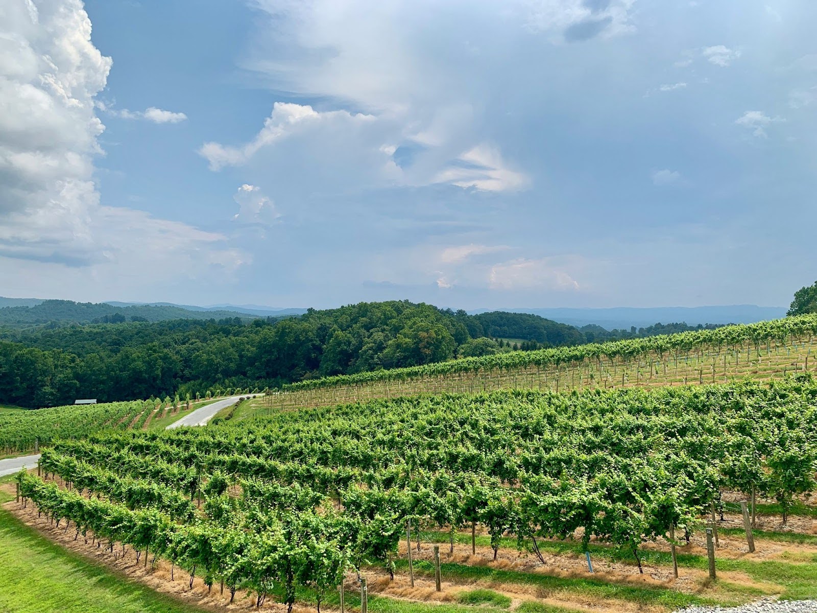 Moving Beyond the Assessment: How Fernleaf Helped to Secure $3.5M for Multiple Projects in Hendersonville, North Carolina image